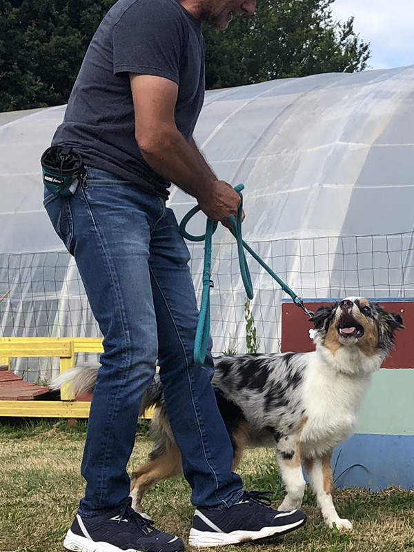 CENTRE CANIN DE ST GILLES Education Canine Rennes Cole Du Chiot4 55